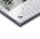 Before Becoming Acrylic print