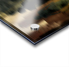 The Unseen Among Us Acrylic print