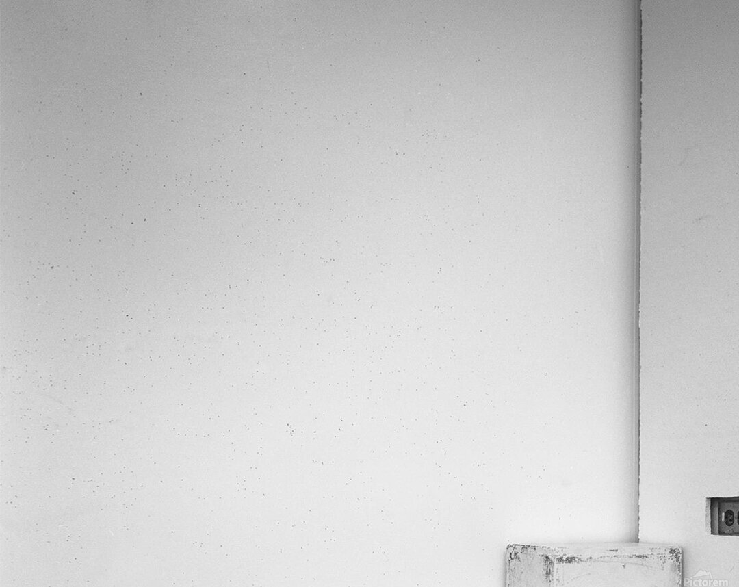 Before Becoming Acrylic Print