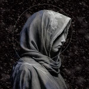 Portrait in Winter s Grasp