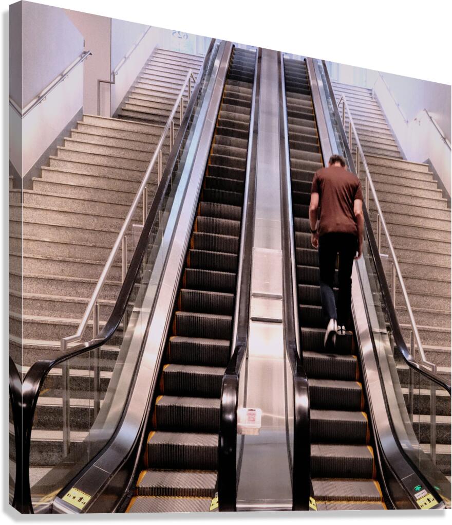 Steps To Nowhere Canvas Print