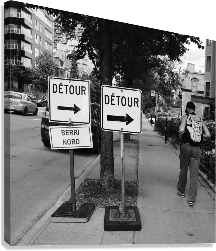 The Art of Going Elsewhere Canvas Print