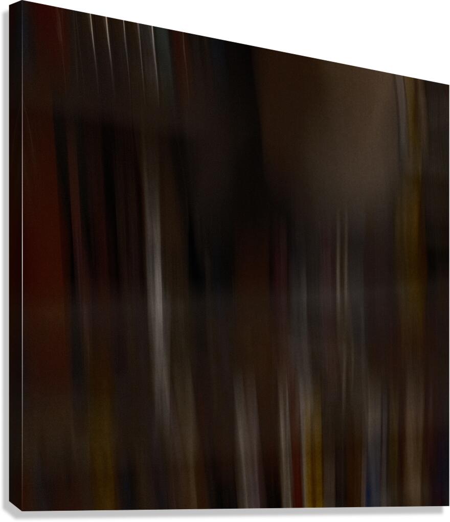 Echoes in Motion Canvas Print