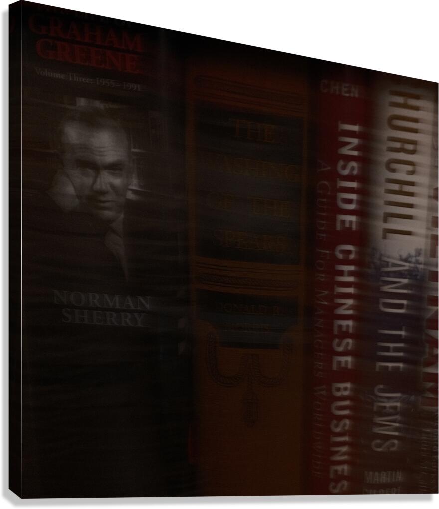 Silent Libraries Canvas Print