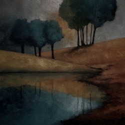 Reflections Before Night