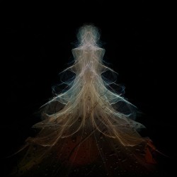 The Shape Before a Name