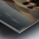 The Next Horizon Metal print