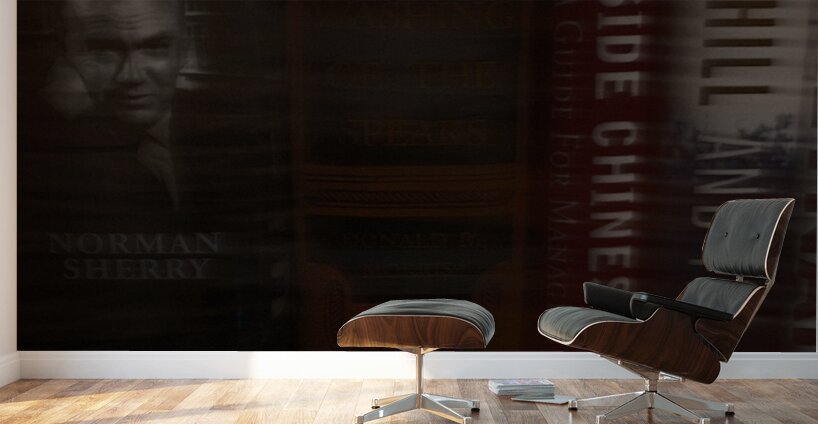 Silent Libraries Wall Murals