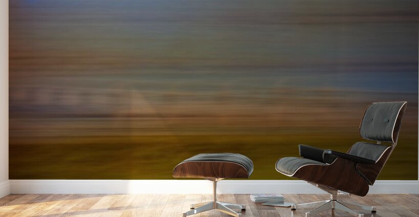Horizons in Motion Wall Murals