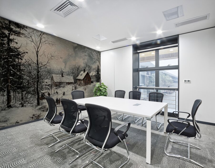 Frozen Village Comes to Life Wall Printing